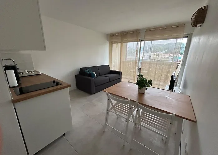 Lägenhet Studio Renove - Balcon, Parking & Velos Inclus Le Grau-du-Roi