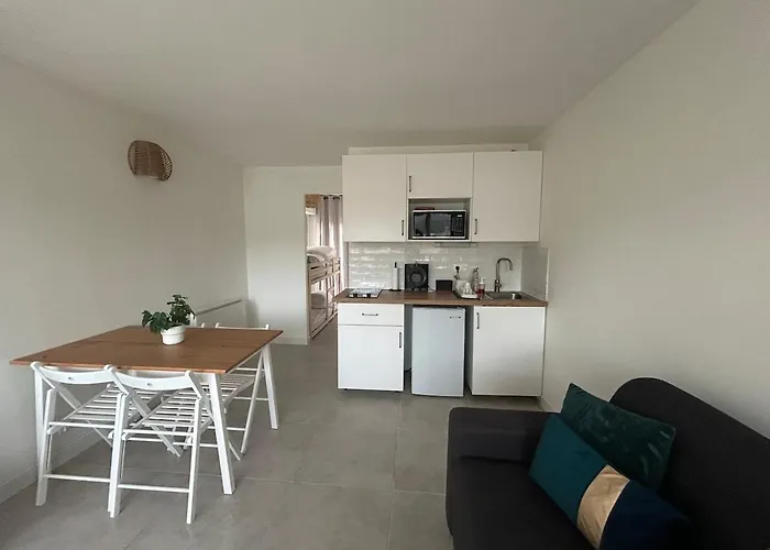 Lägenhet Studio Renove - Balcon, Parking & Velos Inclus Le Grau-du-Roi